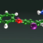 3D ball-and-stick molecular model of diiodotyrosine or thyroid hormone with green, purple, red, blue, and white atoms