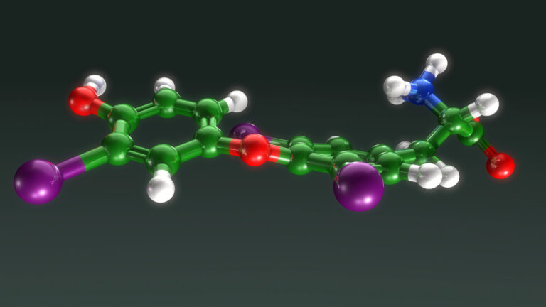 3D ball-and-stick molecular model of diiodotyrosine or thyroid hormone with green, purple, red, blue, and white atoms