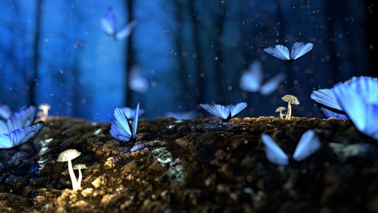 butterfly mushrooms